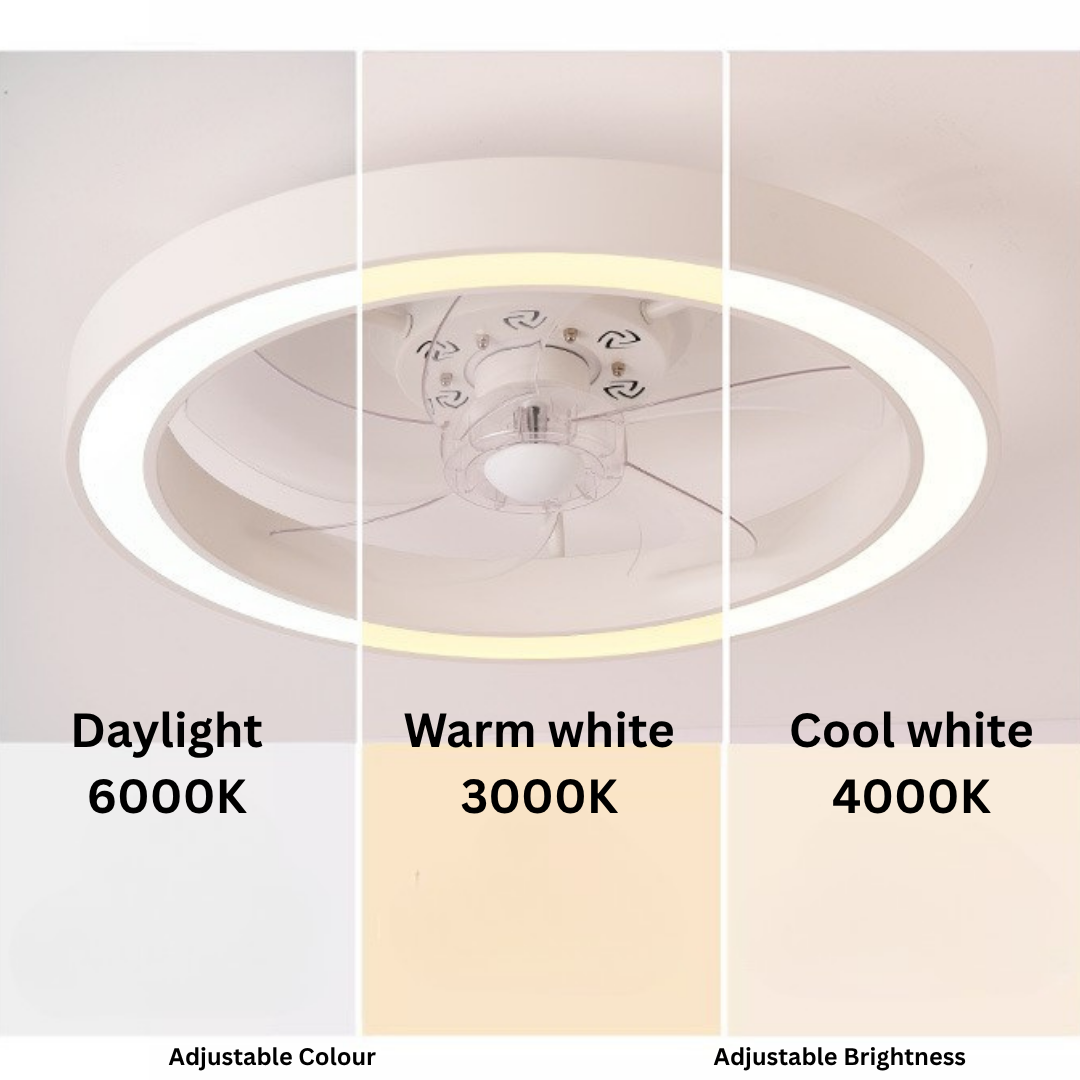 Ceiling lights with fan