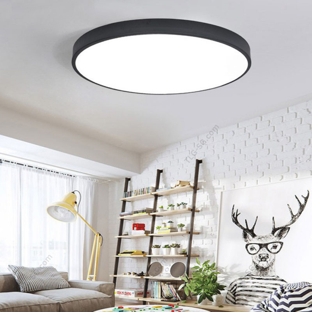 Minimalist Ceiling Lights