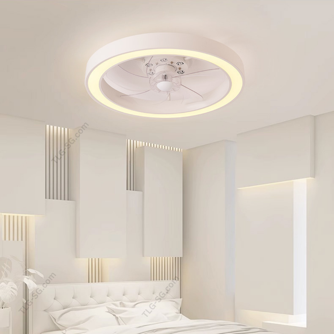 Ceiling lights with fan