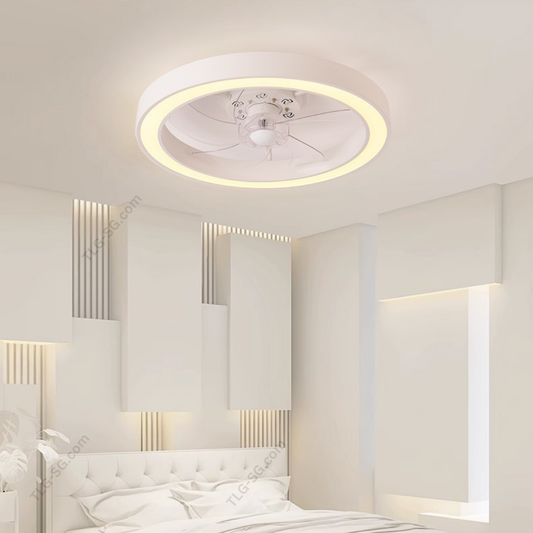 Ceiling lights with fan